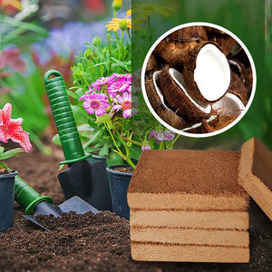 1+1 GRATIS | COCOBRICK™  BIO-KOKOSNUSSKOHLE FÜR PFLANZEN