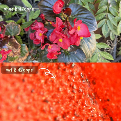 KidScope  - Das digitale Mikroskop für Kinder ab 3 Jahren - spielerisch die Natur entdecken_