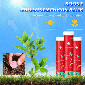 1+1 Gratis | SoilBoost™ Organische Düngemitteltablette