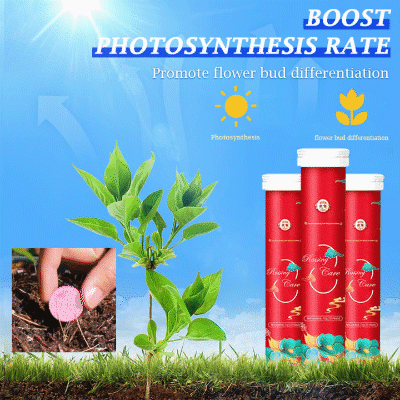 1+1 Gratis | SoilBoost™ Organische Düngemitteltablette
