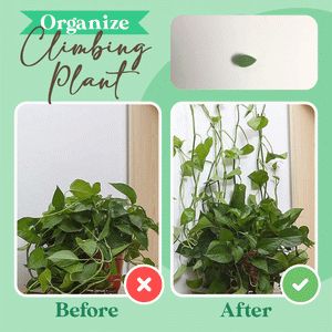 10+10 Gratis | LeafClip™ Pflanzenklammer-Haken