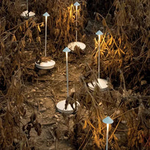 Lade das Bild in den Galerie-Viewer, Leuchtende Gartenlampen im Feld, moderne LED-Beleuchtung, energiesparend, Außenbereich.
