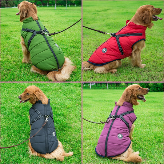 Allwetter Hundejacke
