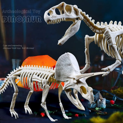 Dinossil™ Dinosaurier-Fossilien-Ausgrabungsset für Kinder