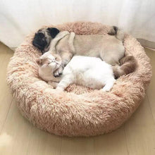 Lade das Bild in den Galerie-Viewer, Kuscheliges Hundebett &quot;Wolke 7&quot; - das Original
