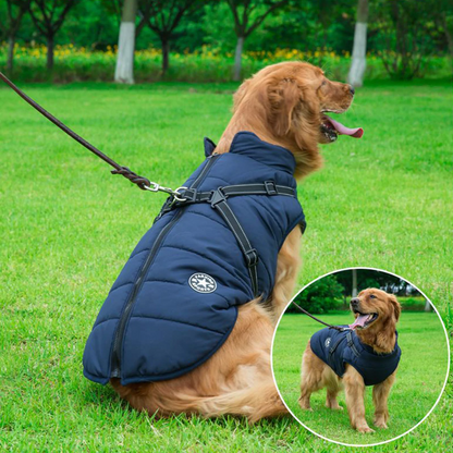 Allwetter Hundejacke
