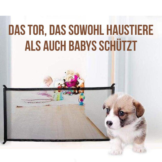 Magisches Tor für Hunde