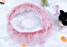 Lade das Bild in den Galerie-Viewer, FluffyCat™ - 2 in 1 faltbares Katzenbett
