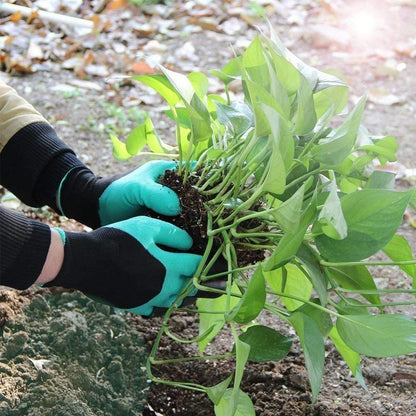 Garten Handschuhe - Testsieger