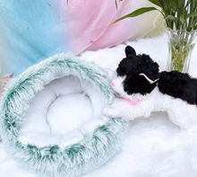 Lade das Bild in den Galerie-Viewer, FluffyCat™ - 2 in 1 faltbares Katzenbett

