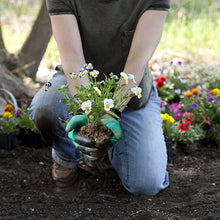 Lade das Bild in den Galerie-Viewer, Dirtgrip™ Gartenhandschuhe mit Krallen

