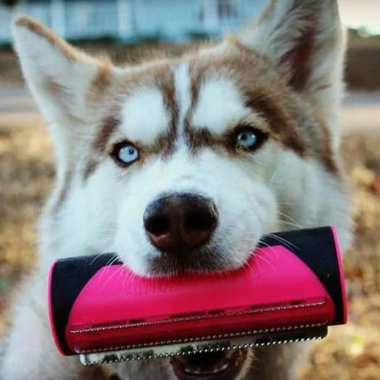 3 IN 1 MULTIFUNKTIONALE BÜRSTE - lieblingsladen.co