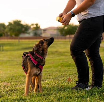 3 IN 1 MULTIFUNKTIONALE BÜRSTE - lieblingsladen.co