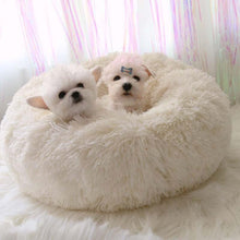 Lade das Bild in den Galerie-Viewer, Kuscheliges Hundebett &quot;Wolke 7&quot; - das Original
