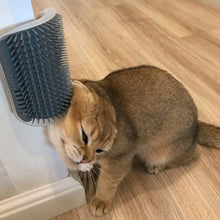 Lade das Bild in den Galerie-Viewer, KatzenBürste™ - Lassen Sie Ihre Katze sich selbst pflegen!
