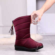 Lade das Bild in den Galerie-Viewer, Damen Winterstiefel mit Innenfutter - Neue Kollektion
