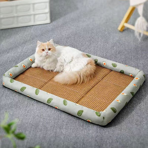 KatzenSchlaf™ - Schenken Sie Ihrer Katze das ultimative Bett!