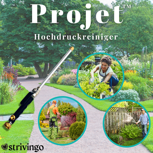 Projet Hochdruckreiniger | 50% RABATT!