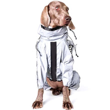 Lade das Bild in den Galerie-Viewer, DogProtect™ - Schütze deinen Hund vor dem Regen!
