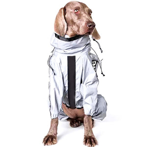 DogProtect™ - Schütze deinen Hund vor dem Regen!