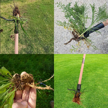 Lade das Bild in den Galerie-Viewer, WeedBeGone™ - Ziehen Sie Unkraut heraus, ohne sich bücken zu müssen!
