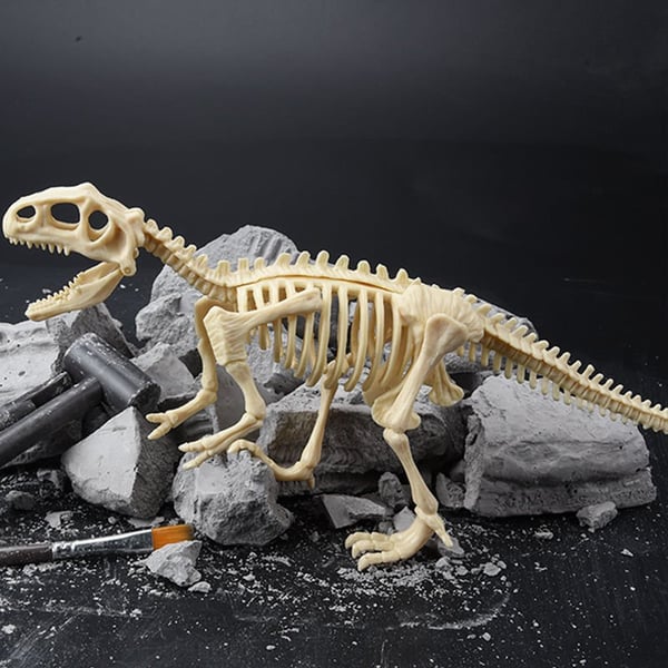 Dinossil™ Dinosaurier-Fossilien-Ausgrabungsset für Kinder