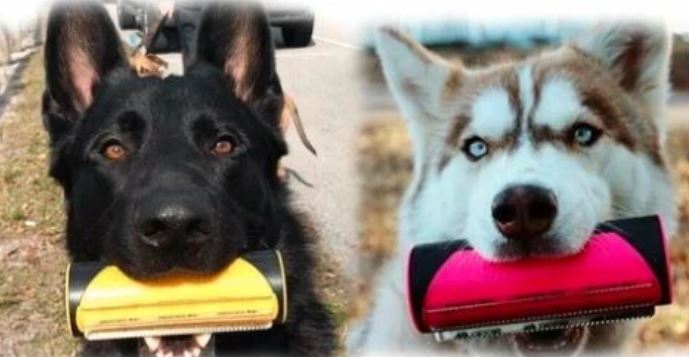 3 IN 1 MULTIFUNKTIONALE BÜRSTE - lieblingsladen.co