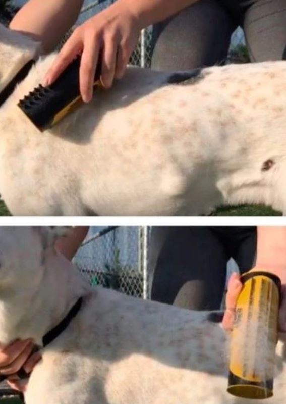 3 IN 1 MULTIFUNKTIONALE BÜRSTE - lieblingsladen.co