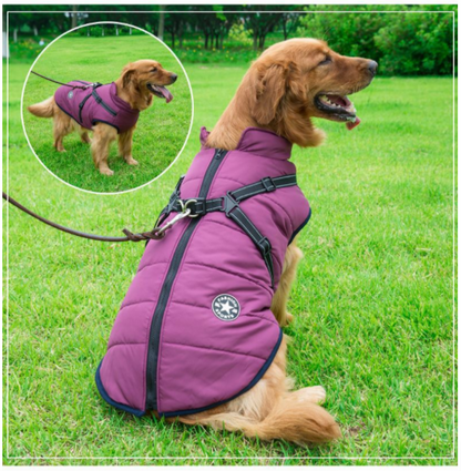 Allwetter Hundejacke