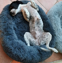 Lade das Bild in den Galerie-Viewer, Kuscheliges Hundebett &quot;Wolke 7&quot; - das Original
