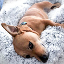 Lade das Bild in den Galerie-Viewer, Kuscheliges Hundebett &quot;Wolke 7&quot; - das Original
