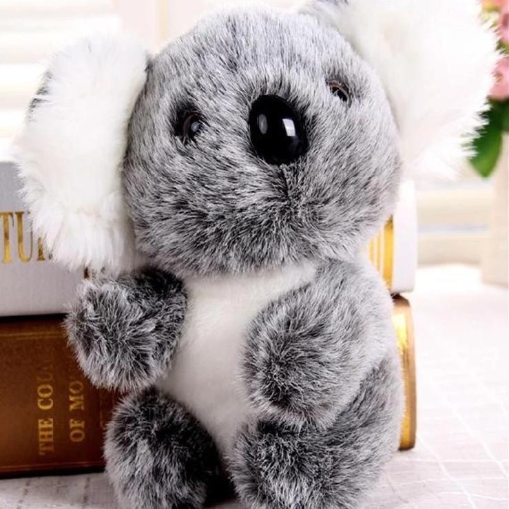 Süßes Koala Kuscheltier