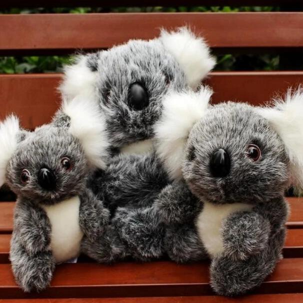 Süßes Koala Kuscheltier