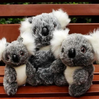 Süßes Koala Kuscheltier